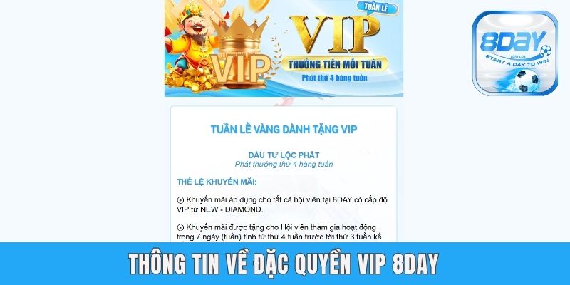 Đặc Quyền Vip 8day - Các Lợi Ích Hấp Dẫn Khi Trở Thành Vip Thông tin về đặc quyền vip 8day