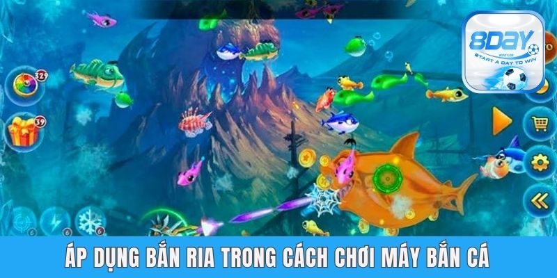 8day Hướng Dẫn Cách Chơi Máy Bắn Cá Chi Tiết Cho Người Mới Áp dụng bắn ria trong cách chơi máy bắn cá