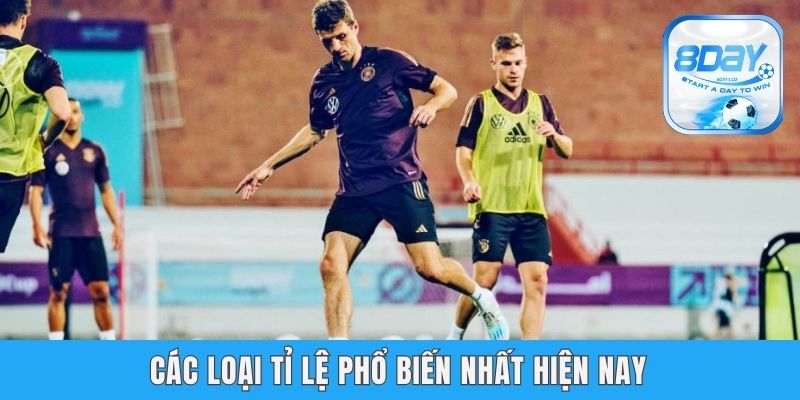 Tỉ Lệ Ăn Cược Tỷ Số Bóng Đá - 8day Bật Mí Mẹo Soi Kèo Các loại tỉ lệ phổ biến nhất hiện nay