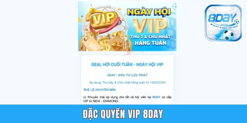 Đặc Quyền Vip 8day - Các Lợi Ích Hấp Dẫn Khi Trở Thành Vip