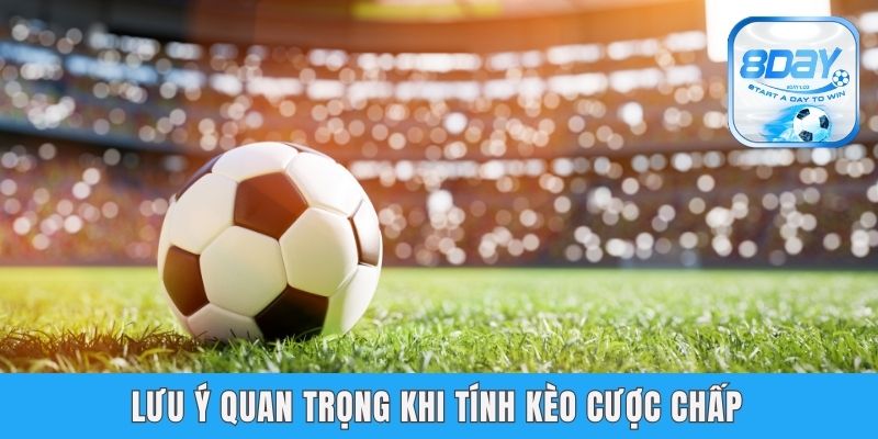 Cách Tính Kèo Chấp Bóng Đá Dễ Hiểu Cho Newbies Tại 8day Lưu ý quan trọng khi tính kèo cược chấp