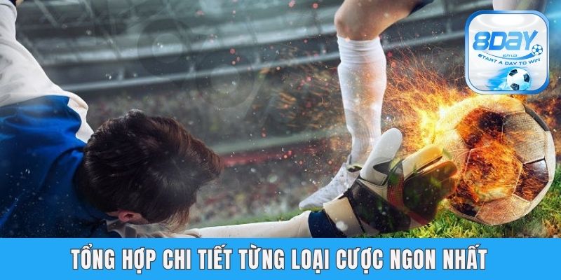 Kèo Thơm Là Gì - Hướng Dẫn Nhận Biết Chuẩn Nhất Từ 8day Tổng hợp chi tiết từng loại cược ngon nhất