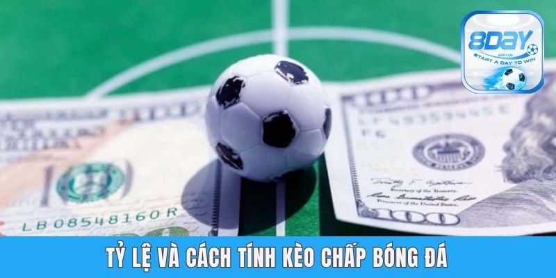 Cách Tính Kèo Chấp Bóng Đá Dễ Hiểu Cho Newbies Tại 8day Tỷ lệ và cách tính kèo chấp bóng đá